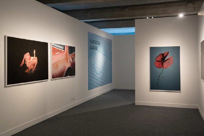 Screenshot 2026-02-11 155823.jpg