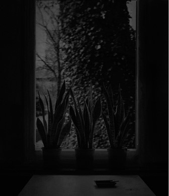 Fade of mind - Beerse 1