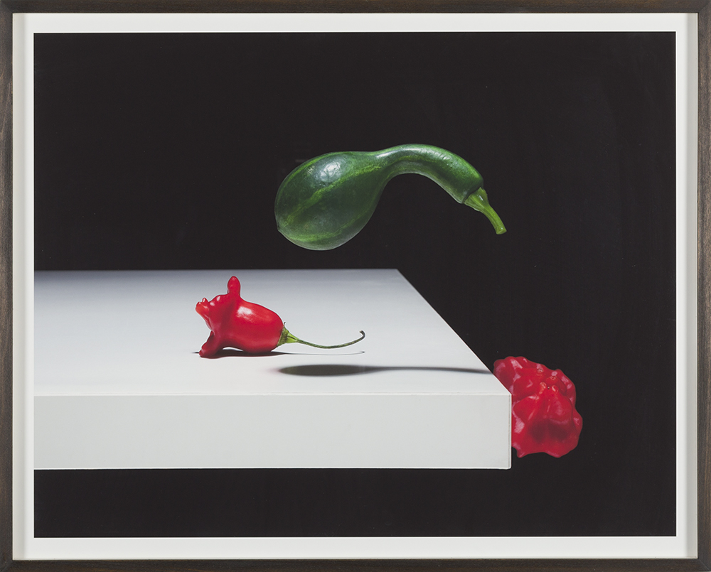 Cucurbita trochilidae baccatum (Nightshade series)