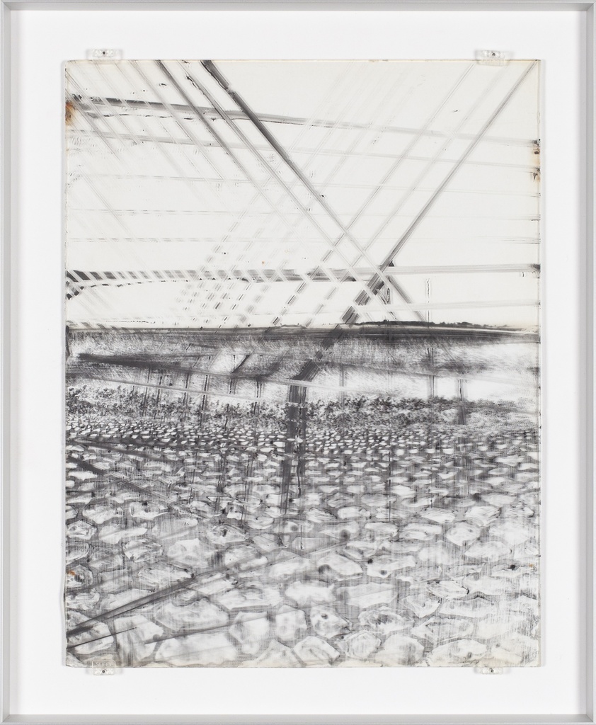 Polygons in a glass house