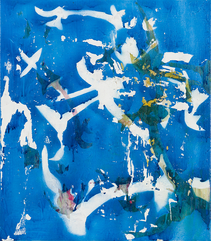 Where have all the flowers gone