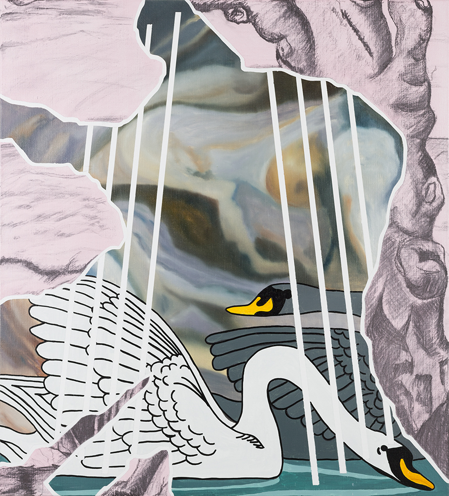 Pondering the Pond 1