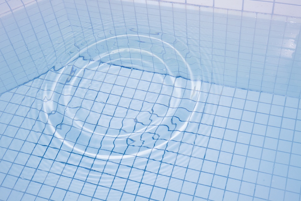 Splash, Not seeing is a Flower