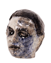 Histrionis