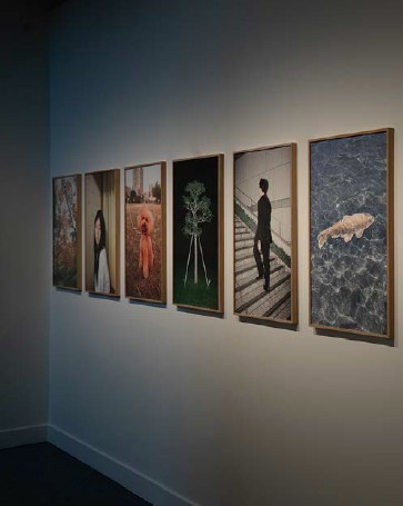 Screenshot 2026-02-11 155854.jpg