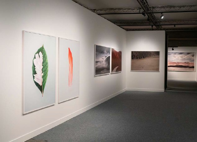 Screenshot 2026-02-11 155733.jpg