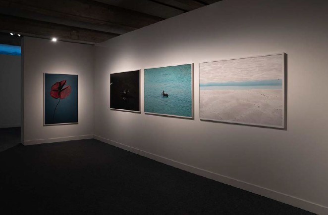 Screenshot 2026-02-11 155758.jpg