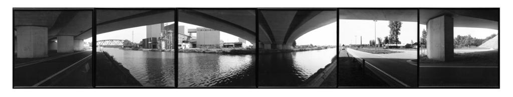 Kanaalkom Hasselt (zesluik)