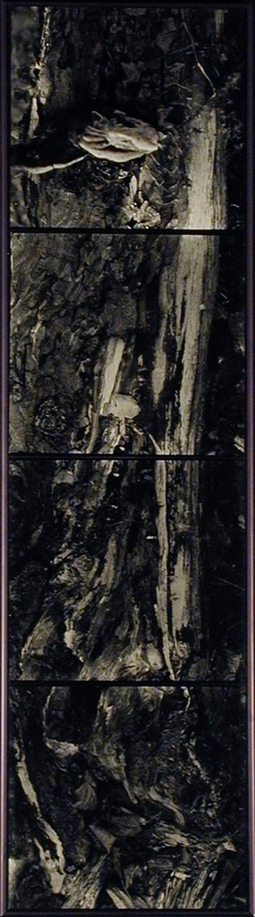 Kastanjelaan II