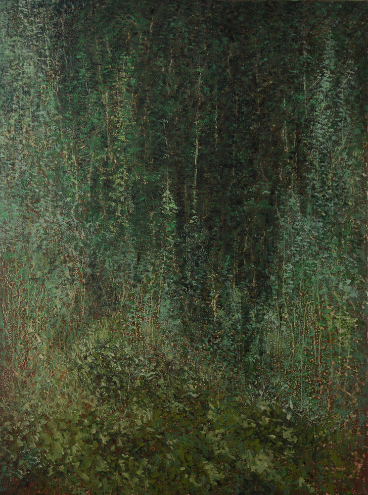 La Foresta di Sant'Antonio (1)