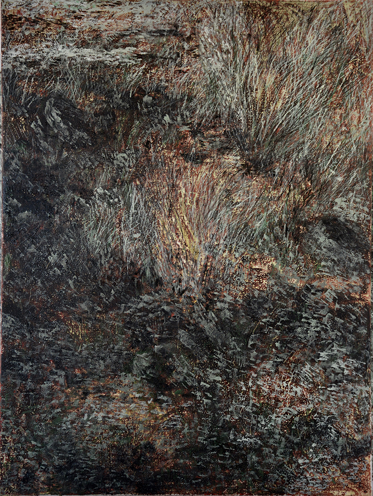 Monte Acuto, sentiero 17