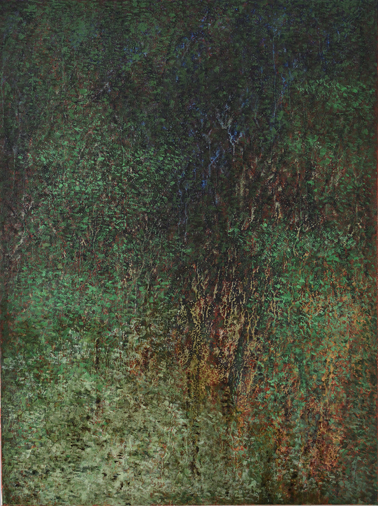 La Foresta di Sant'Antonio (2)