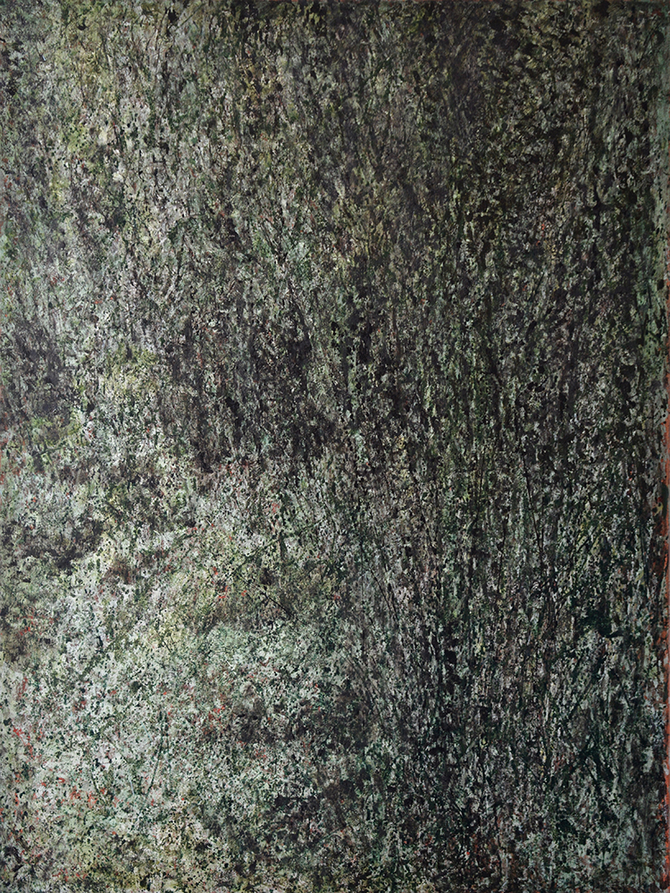 Bosco di Monteverde