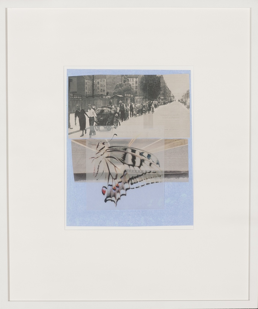 Collage with butterfly