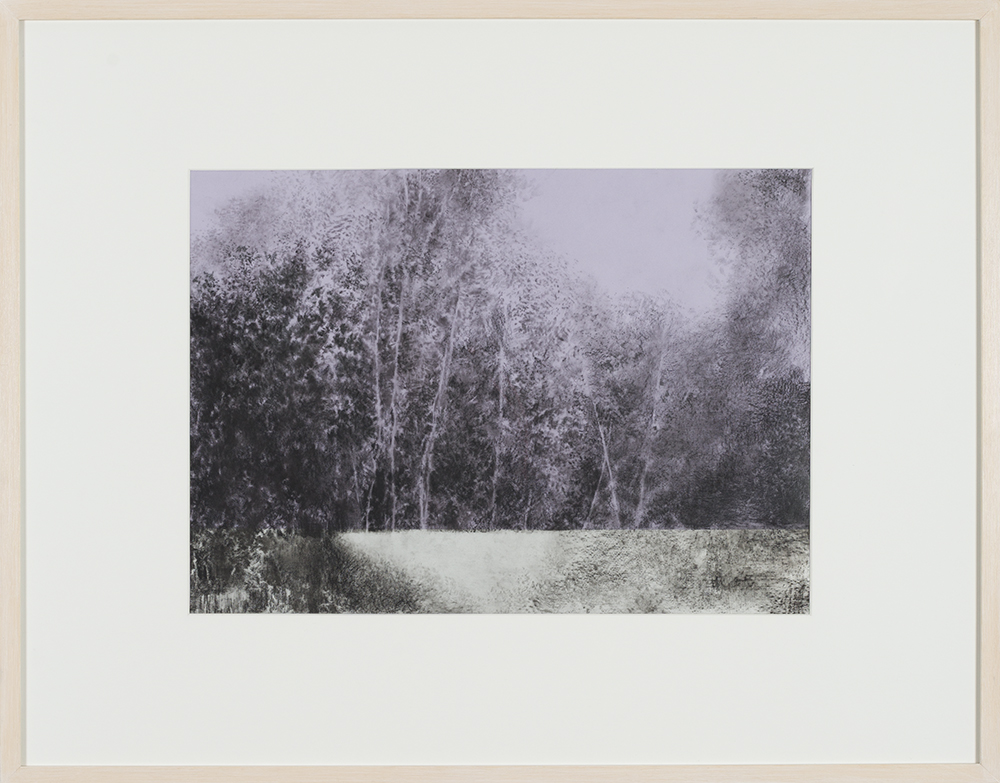 Remains of the Day VIII