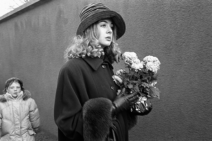 Oh, wat een chrisant