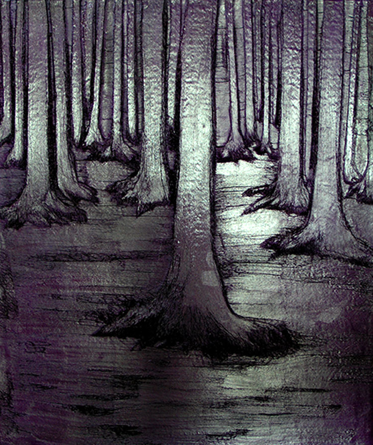 The woods 3