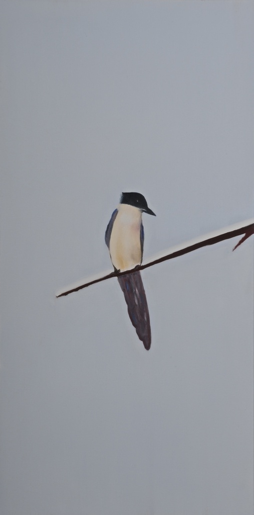 Magpie