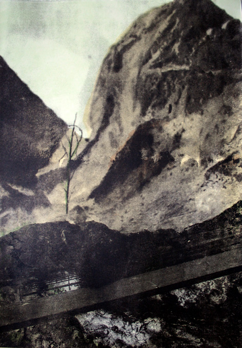 Landscape (VSM)