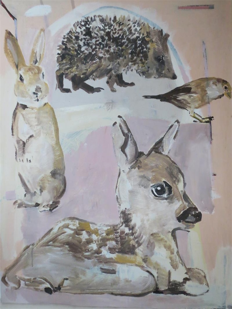 Domestic (animals)