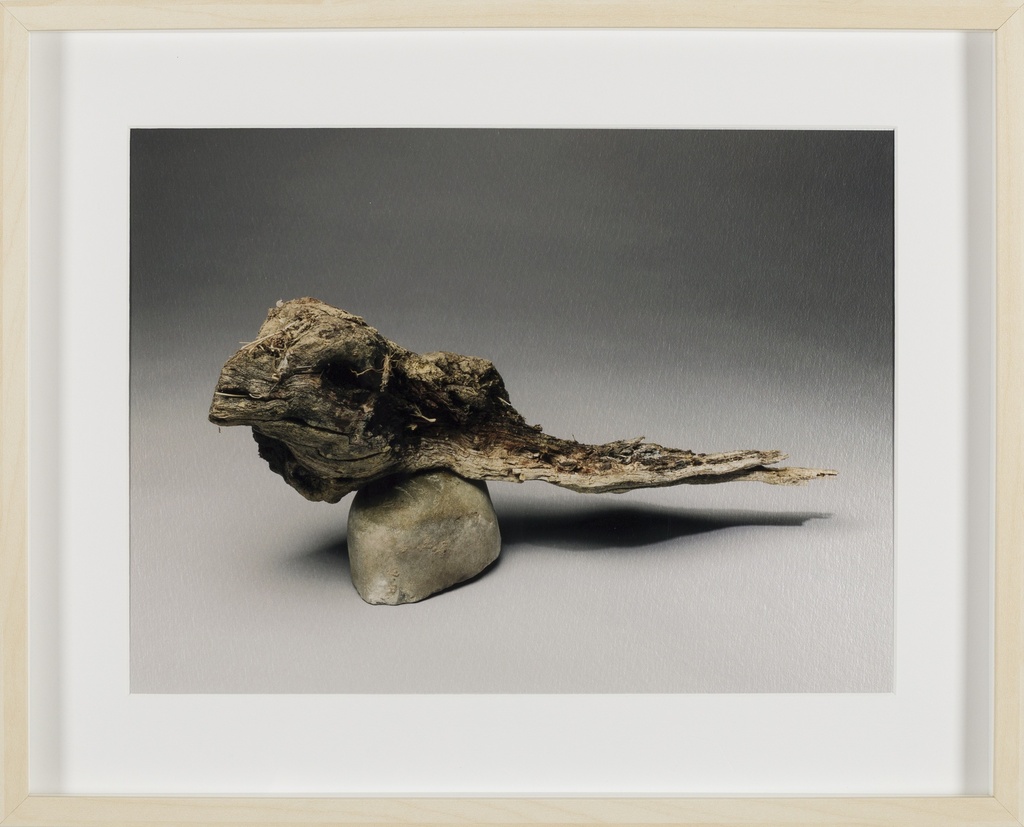 Spirit Fish