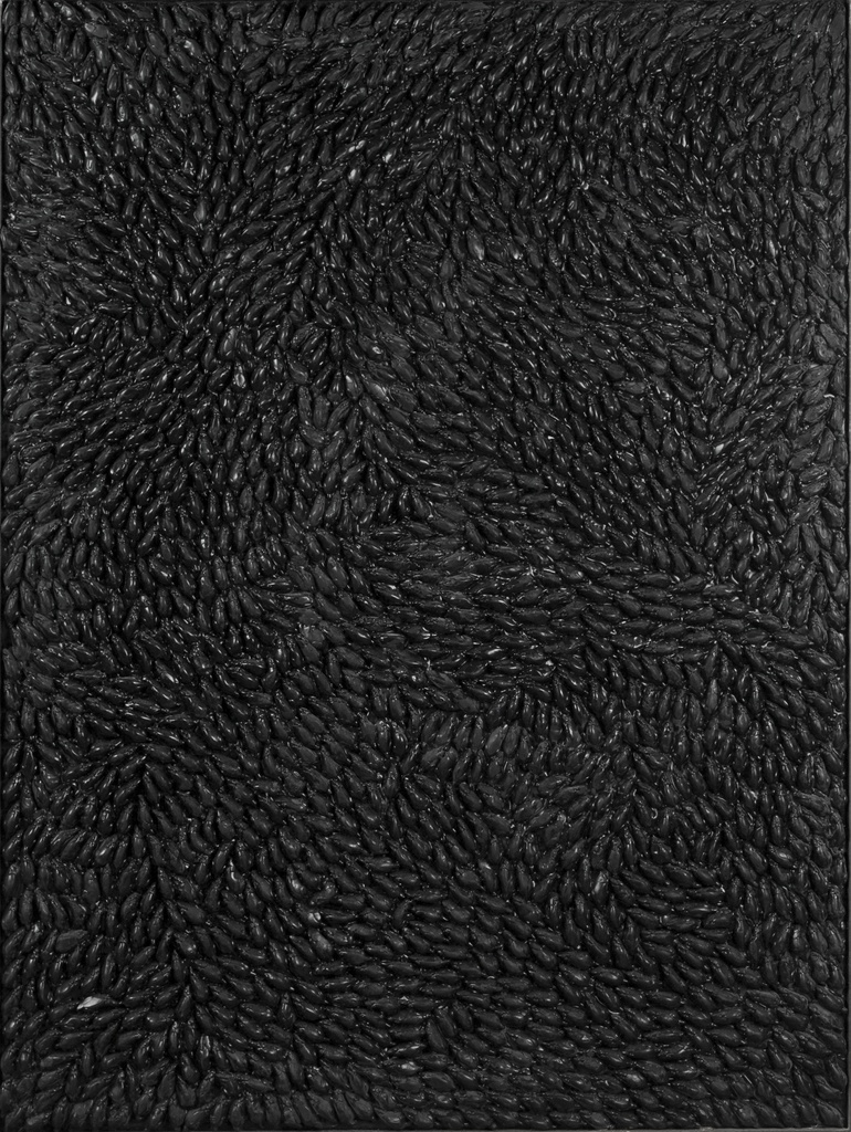 Plaine au milles souris