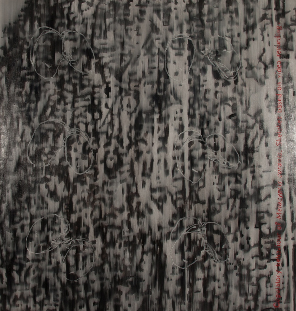 Far away we all look the same