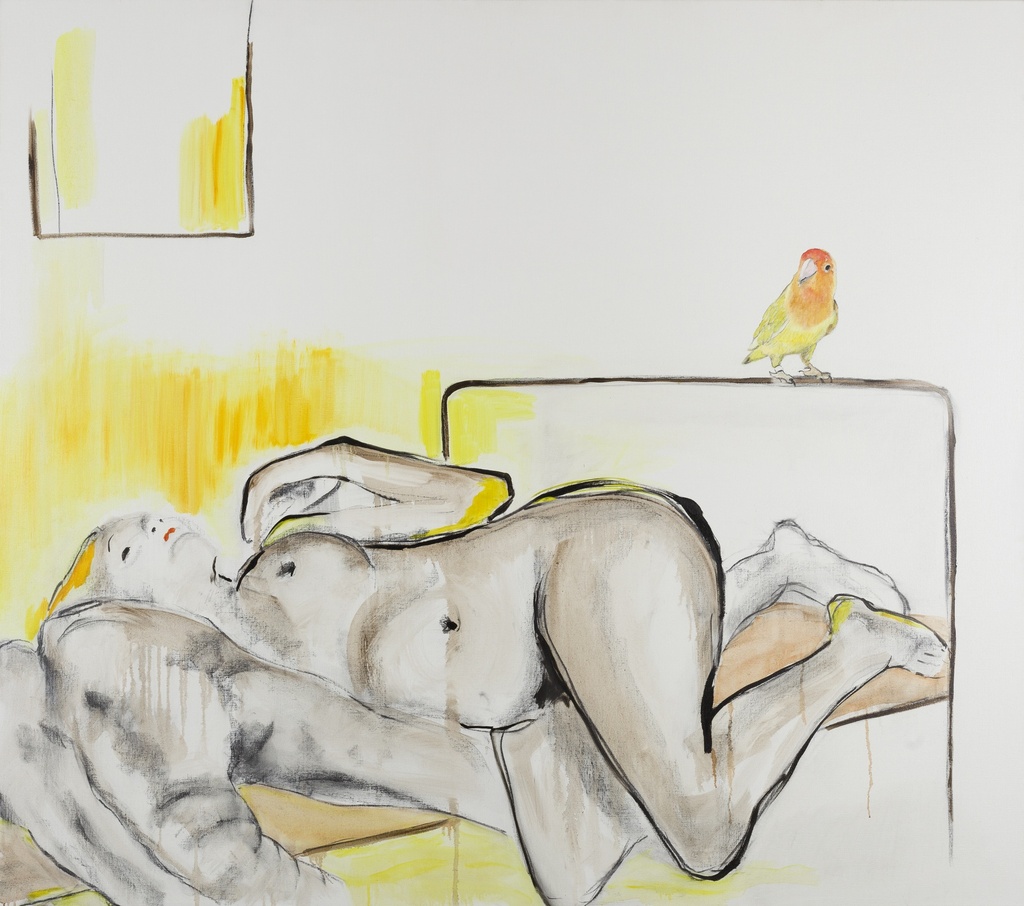 Bird of paradise
