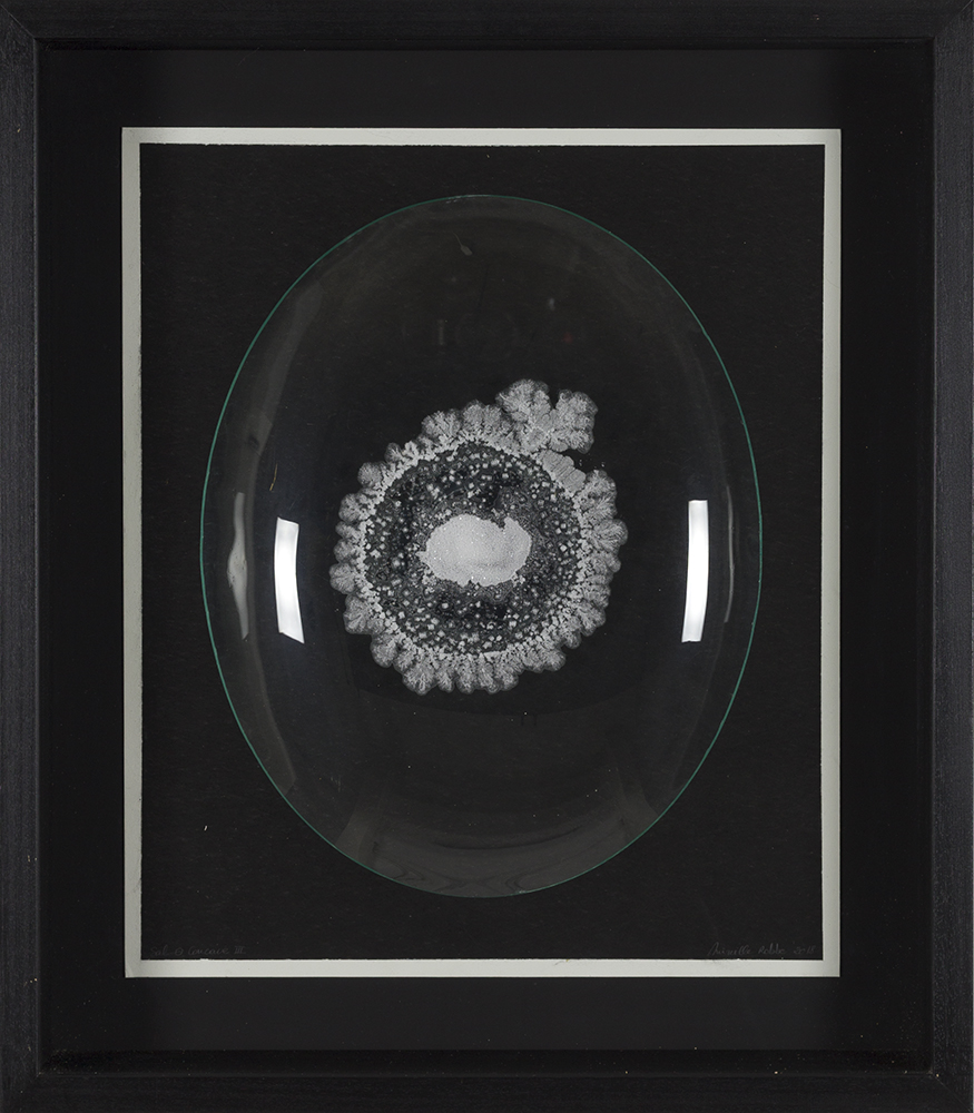 Sal Concave II