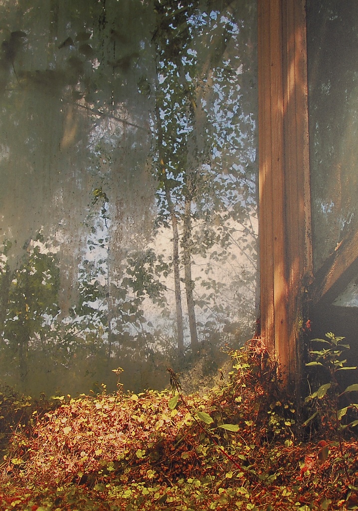 D&amp;M (1) / MG 4.1