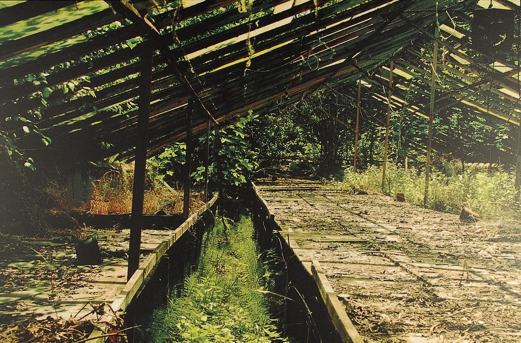 D&amp;M (1) / MG 8.1