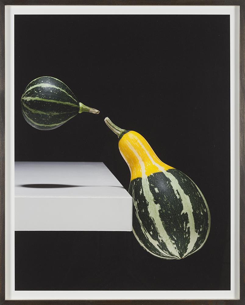 Cucurbita crocus volatilis (Nightshade series)