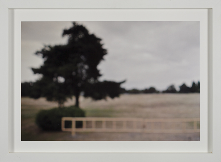 On location - Elephant