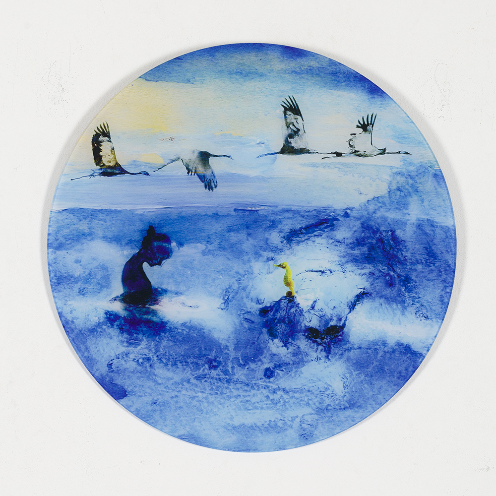 Geel zeepaardje met vrouw