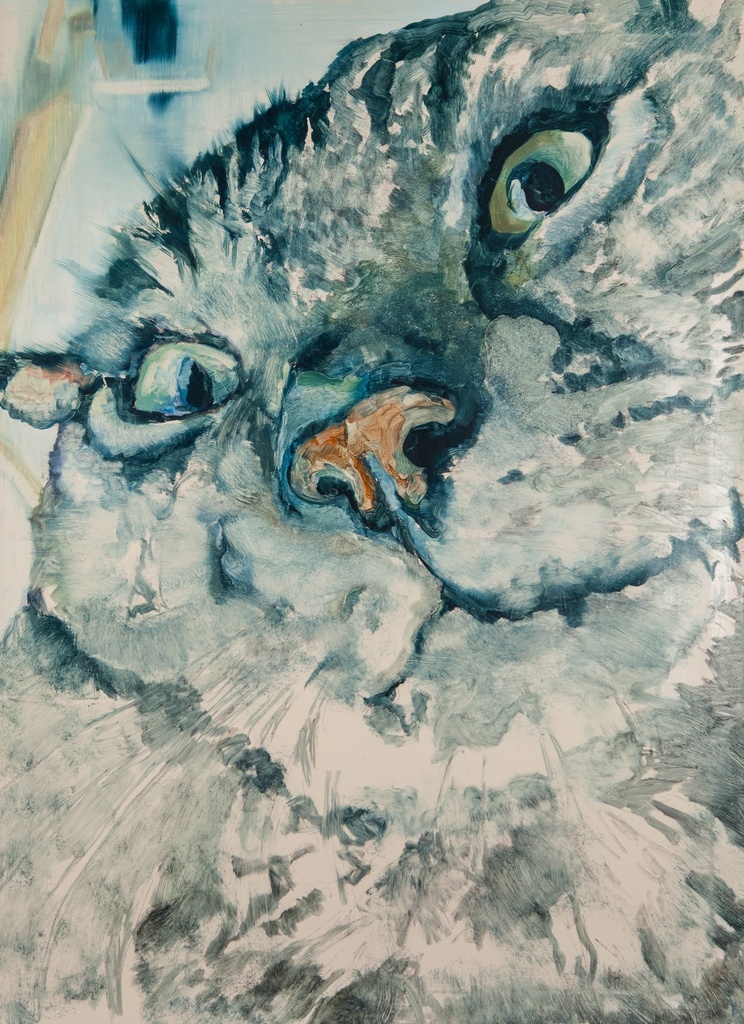 Kat