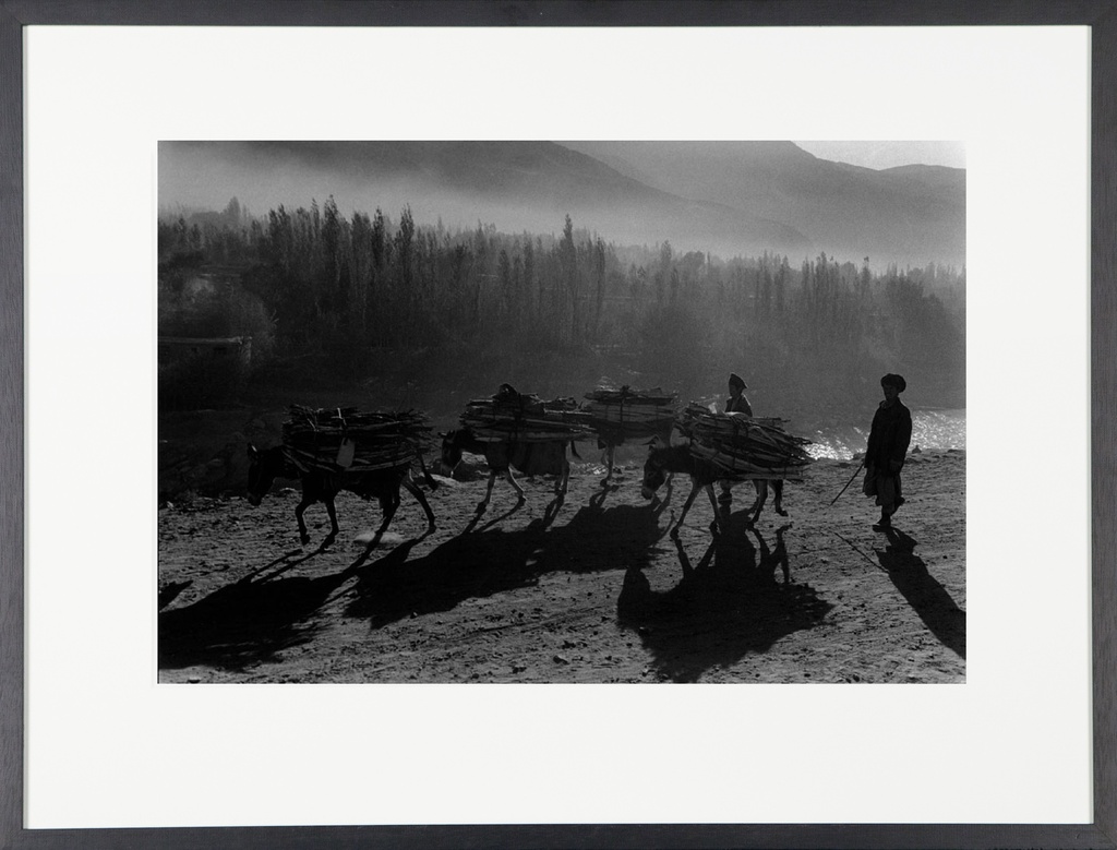 Afghanistan, donkeys in the mist