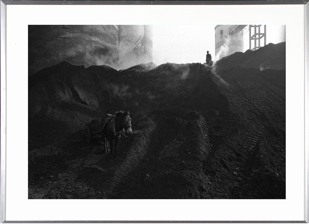 China, coalmine horse