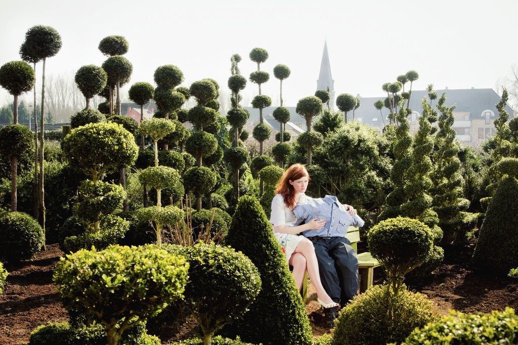 Boxwood romance