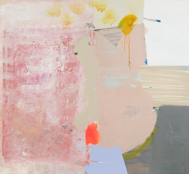 De afgelegde huid III