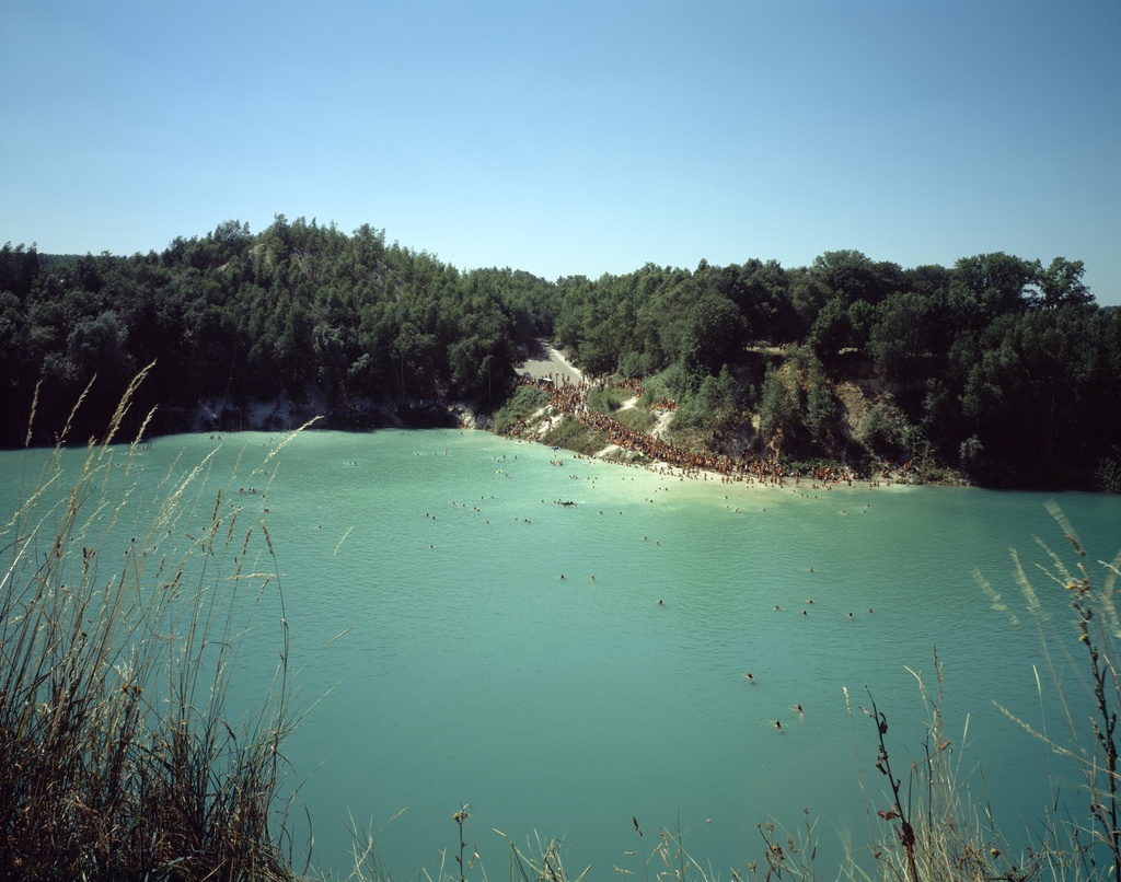 Untitled (paradise), 2007