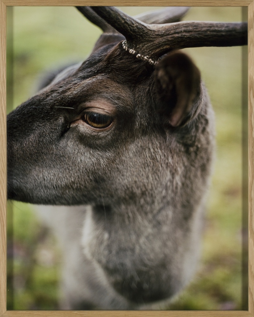 Zutendaal, september 2019