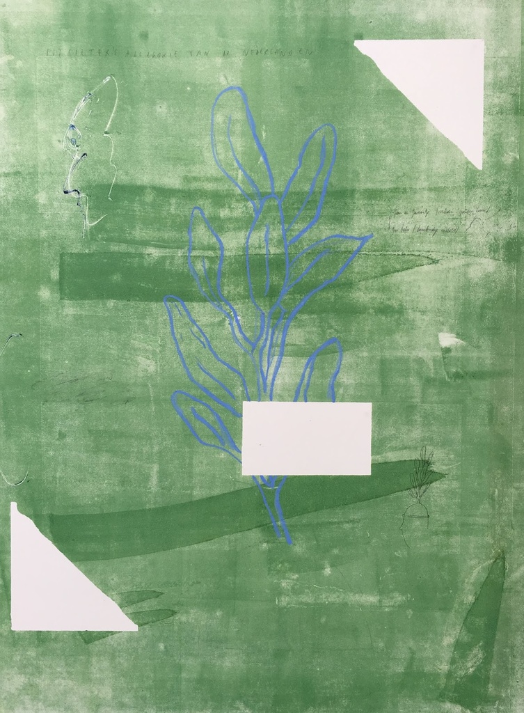Jan Salie