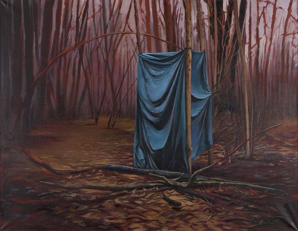 Blue & Red Shelter