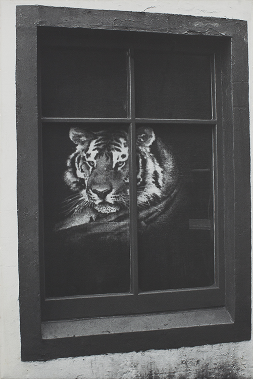 Through the window