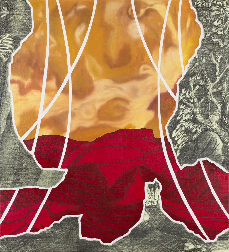 Pondering the Pond 2