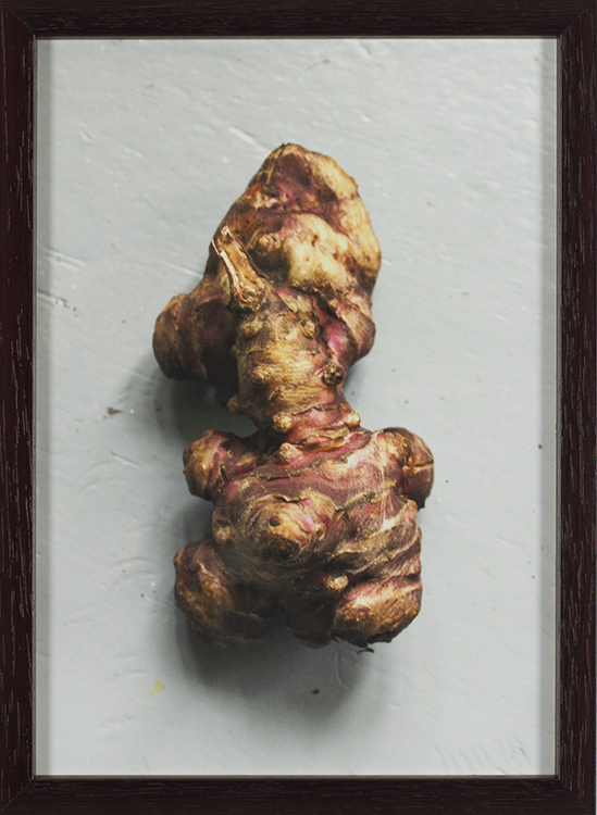 Brussels Sprouts 5