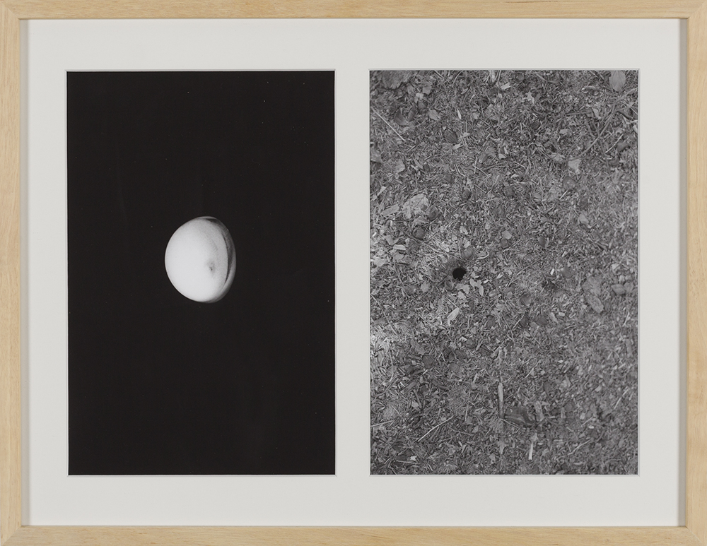 Untitled 1 (Breast)