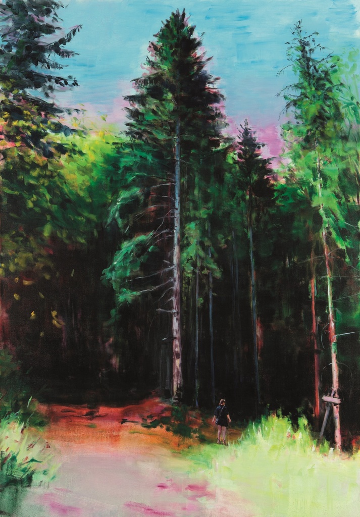 The lovely forest