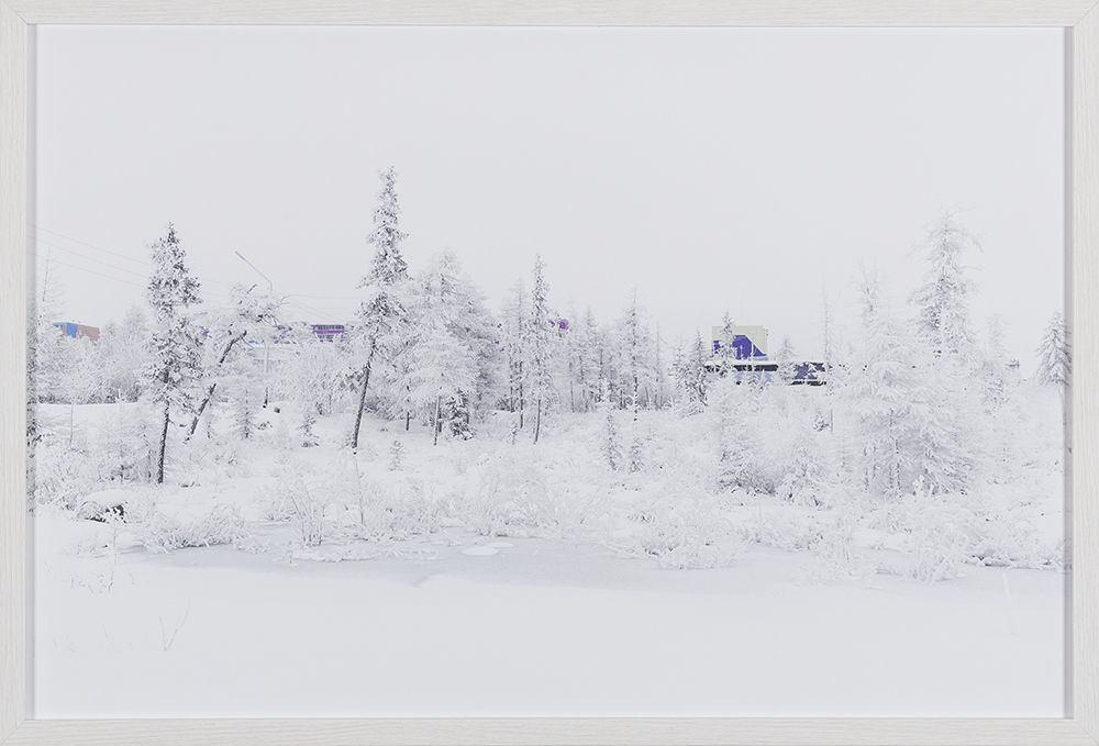 Удачный/Lucky (white landscape)