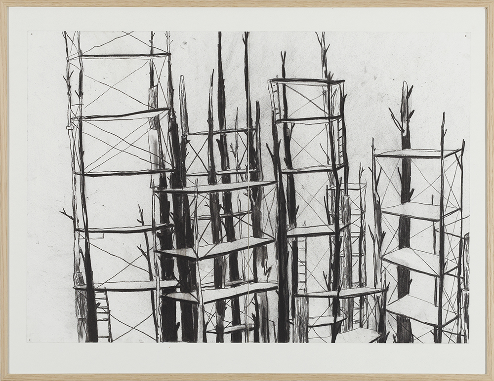 Stelling (Papagonië)